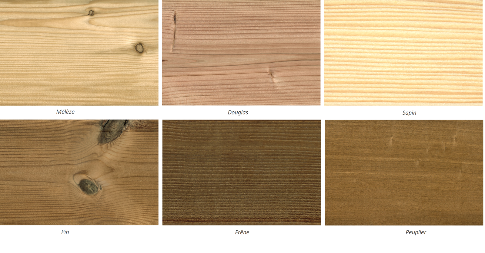 Les produits rabotés SABP