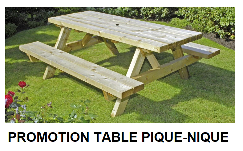 promo table pique-nique